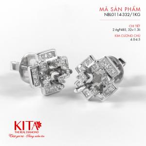 Vỏ Bông Tai Kim Cương